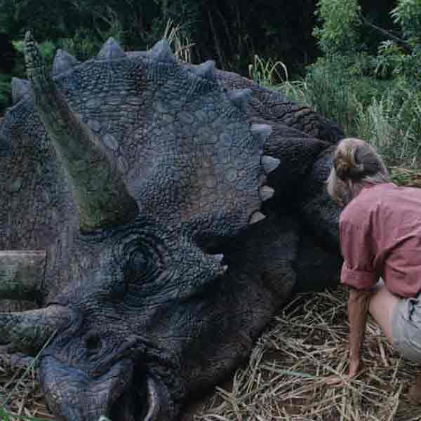 Hawaii Movie Tours